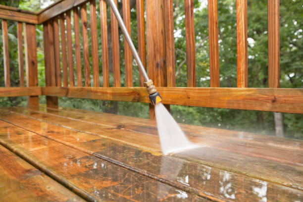 Best Sidewalk and Walkway Cleaning  in Lake St Louis, MO